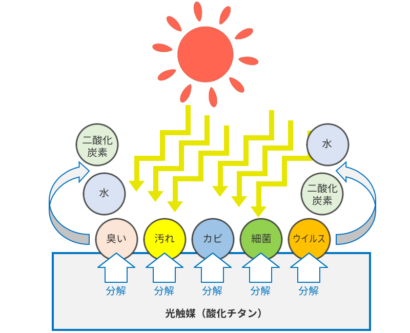 光触媒