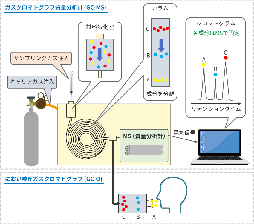 におい嗅ぎGC-MS(GC-MS-O)